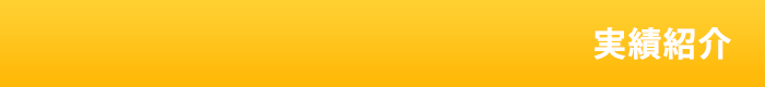 実績紹介